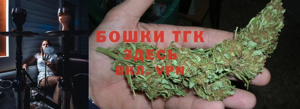 индика Чегем