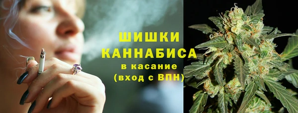 мяу мяу мука Чекалин