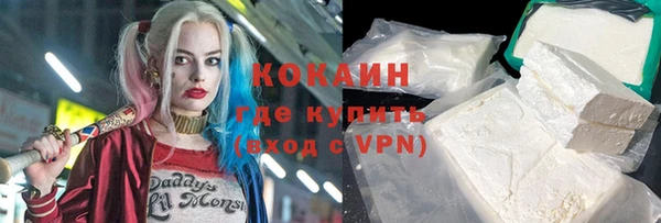 индика Чегем