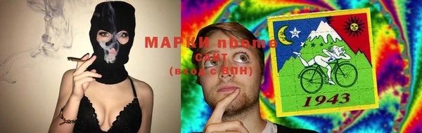 индика Чегем