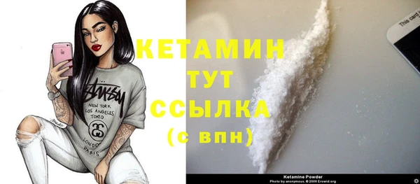 индика Чегем