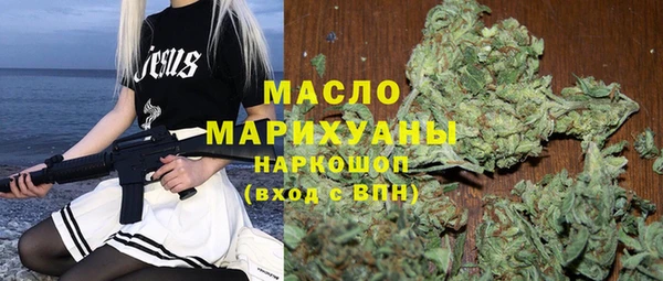 индика Чегем
