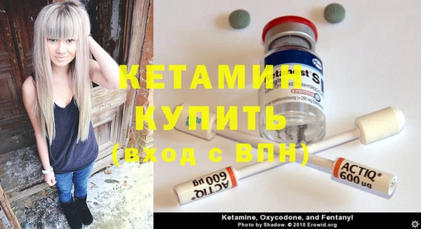 индика Чегем