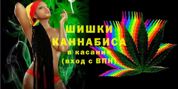 PSILOCYBIN Верхний Тагил