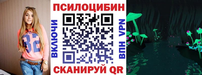 Галлюциногенные грибы Psilocybe  blacksprut зеркало  Грайворон 